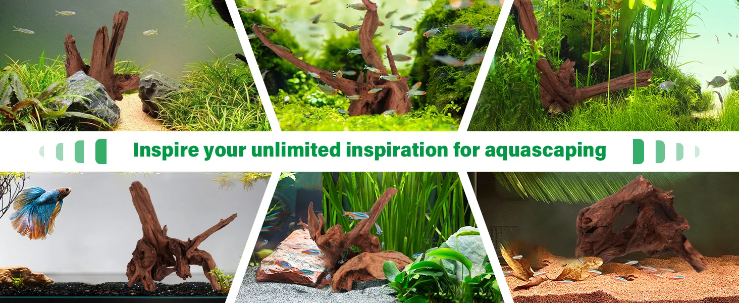 A collage of six vibrant aquarium setups featuring lush plants, driftwood, and colorful fish, inspiring aquascaping ideas.