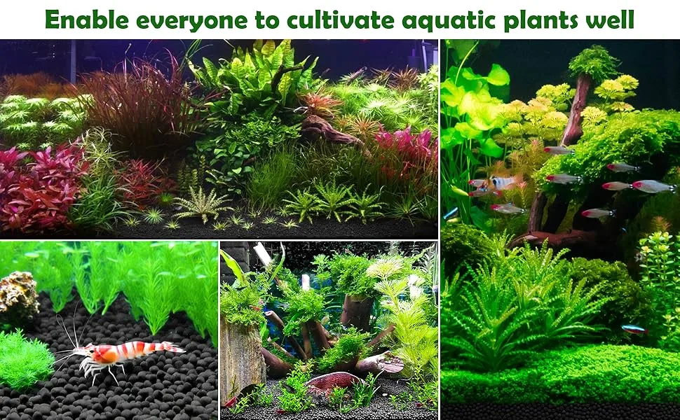Hygger aquarium guide: vibrant planted tank setups with diverse aquatic plants and fish, showcasing lush greenery and thrivin