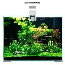 Modern glass aquarium with lush green plants, colorful fish, and a sleek silver stand for home decoration