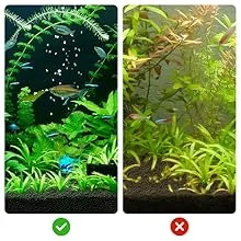 Hygger aquarium setup comparison: left shows healthy fish and plants with green checkmark, right shows algae problem with red