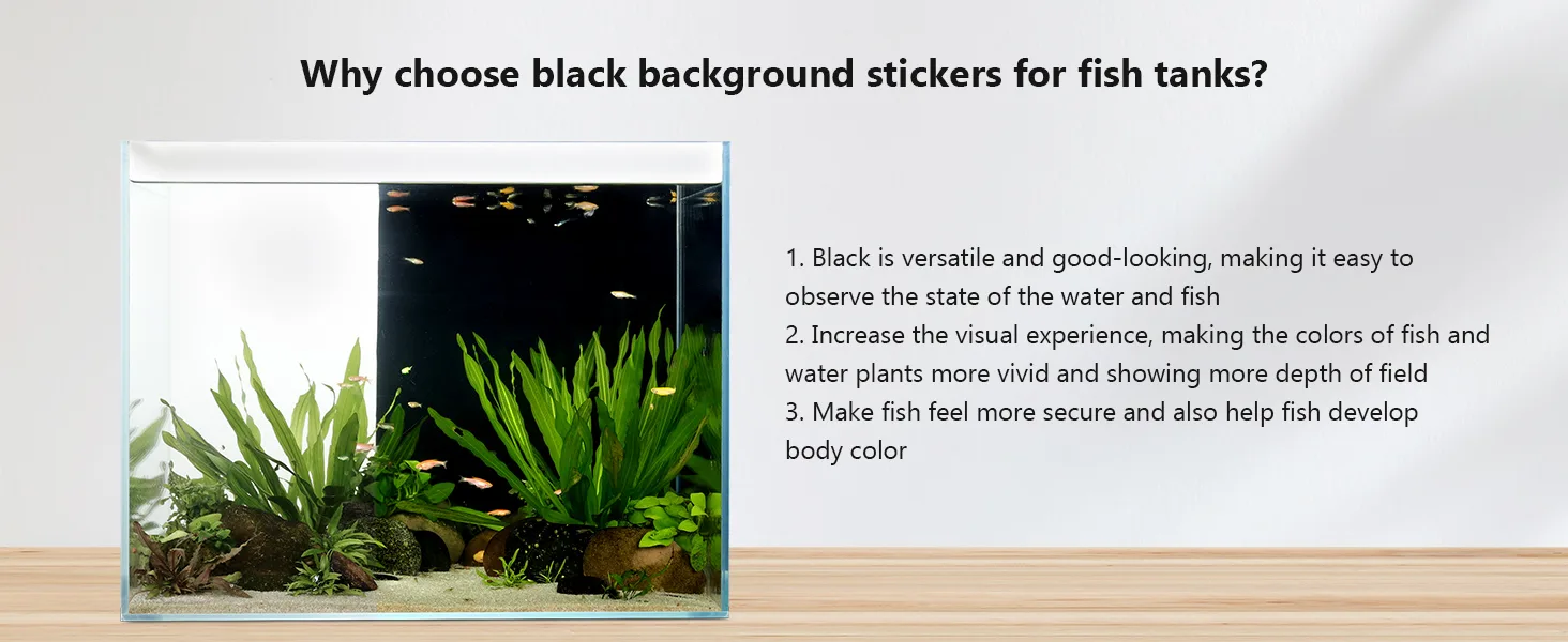 Black background stickers for fish tanks enhance water clarity, vivid colors, and fish security with aquarium plants and fish