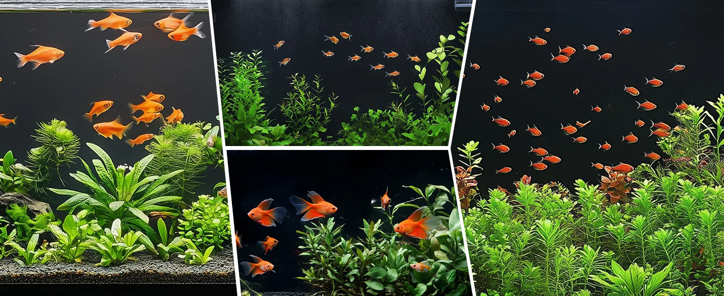 Hygger aquarium with vibrant orange fish swimming among lush green plants in a well-lit tank