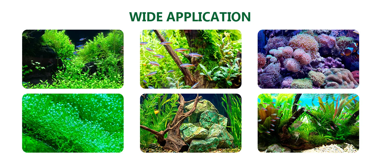 Wide application of aquariums with diverse aquatic plants, fish, and coral reef setups for home and professional use.