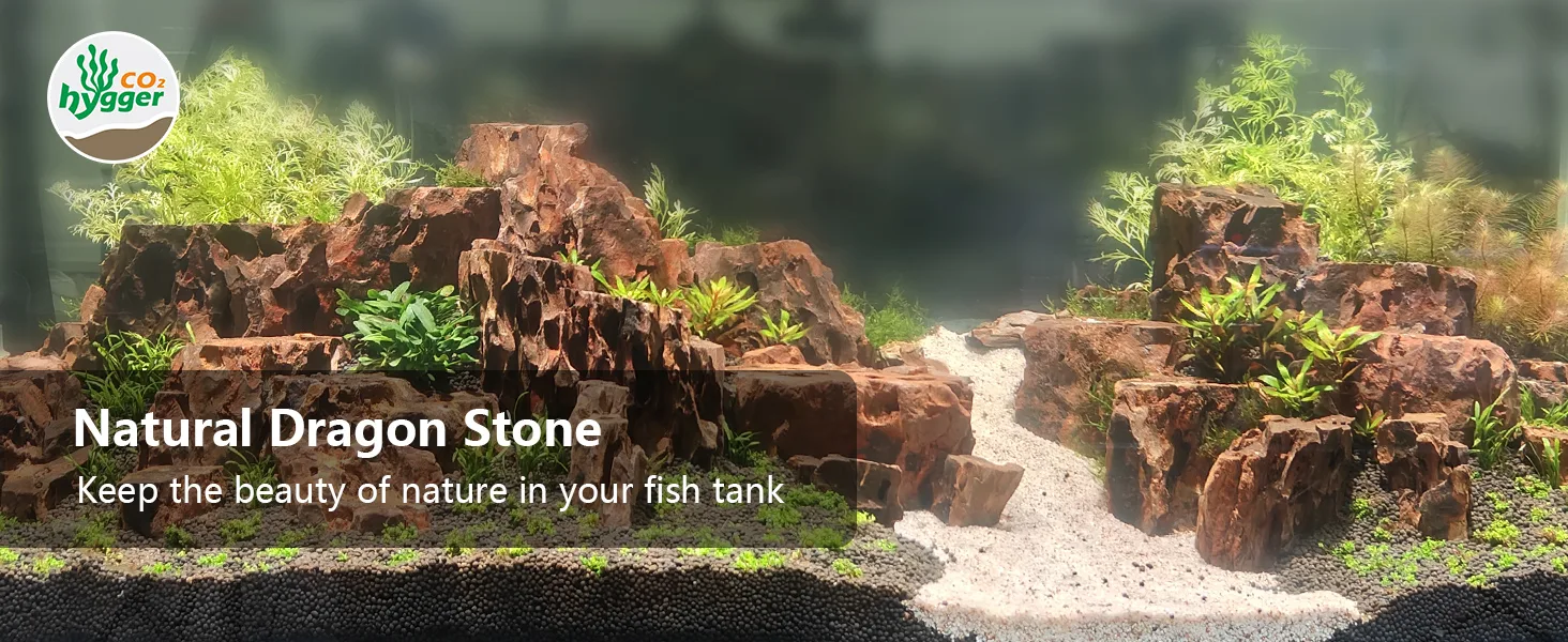 Natural Dragon Stone aquarium decoration with lush plants and rocks for a realistic fish tank setup