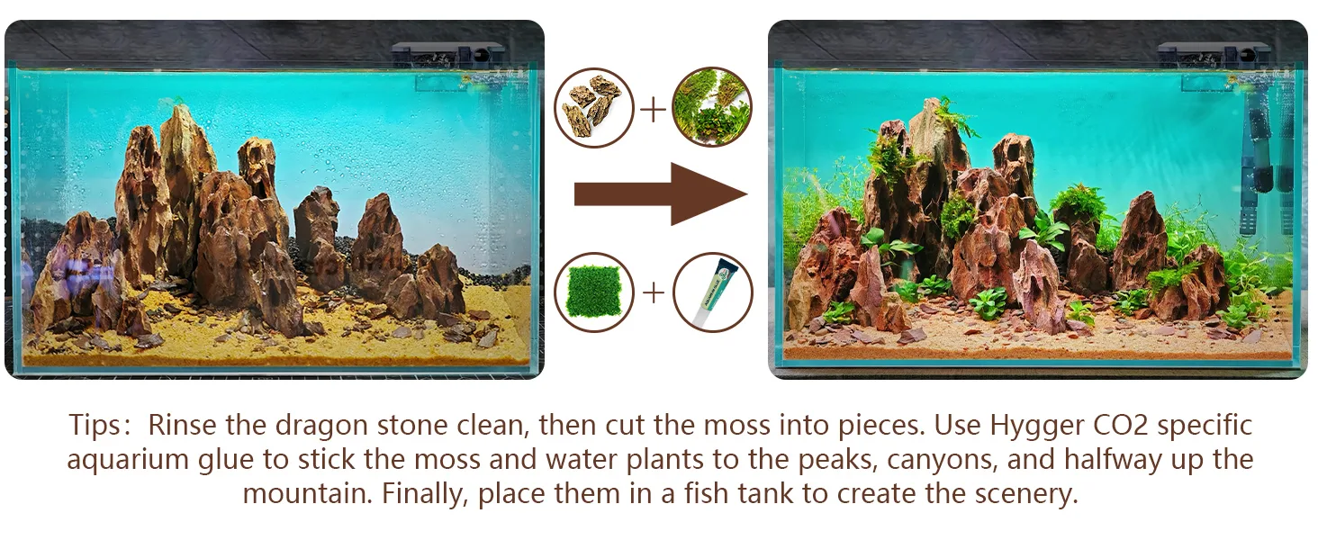 Step-by-step guide to creating a natural aquarium scene with dragon stones, moss, and Hygger CO2-specific glue for fish tanks