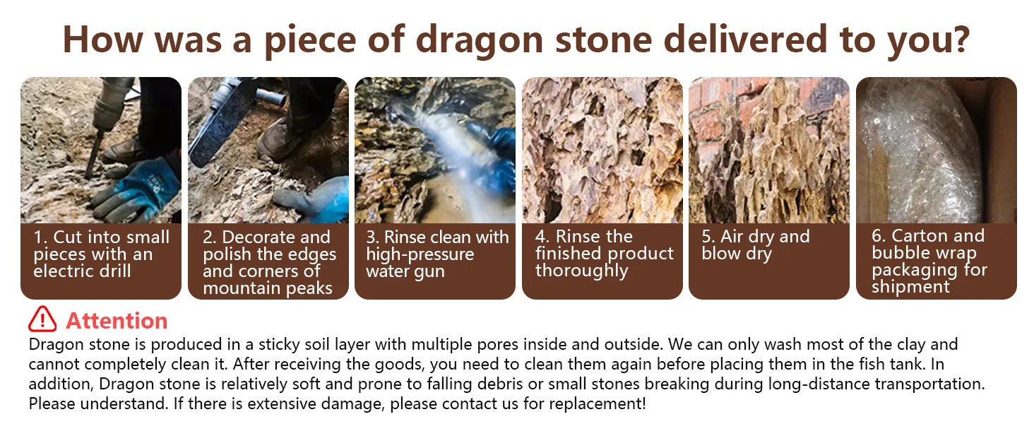 Step-by-step process of dragon stone delivery: cutting, polishing, rinsing, drying, and packaging for aquarium use
