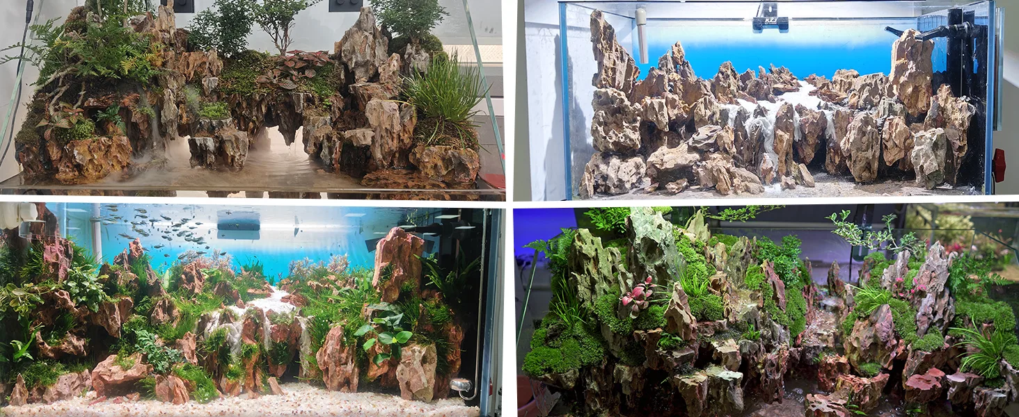 Hygger aquarium showcases diverse aquatic setups with natural rock formations, lush plants, and flowing water features for vi