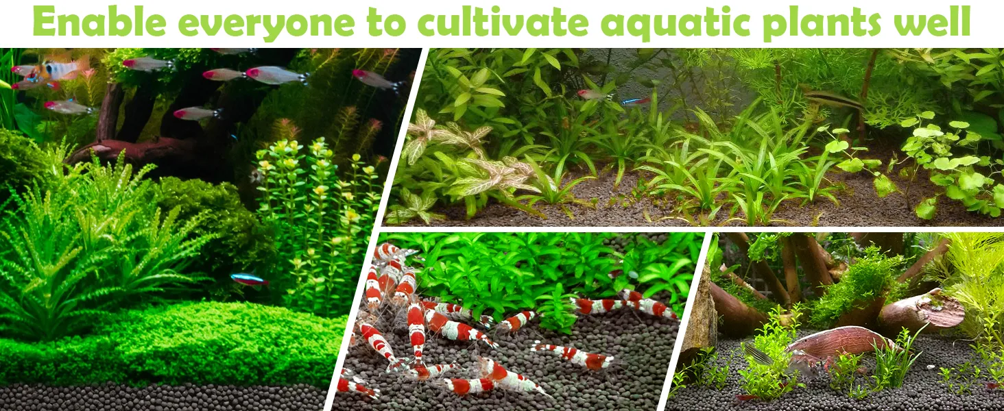Hygger aquarium guide: vibrant aquatic plants and fish in well-maintained tanks with diverse setups for beginners and enthusi