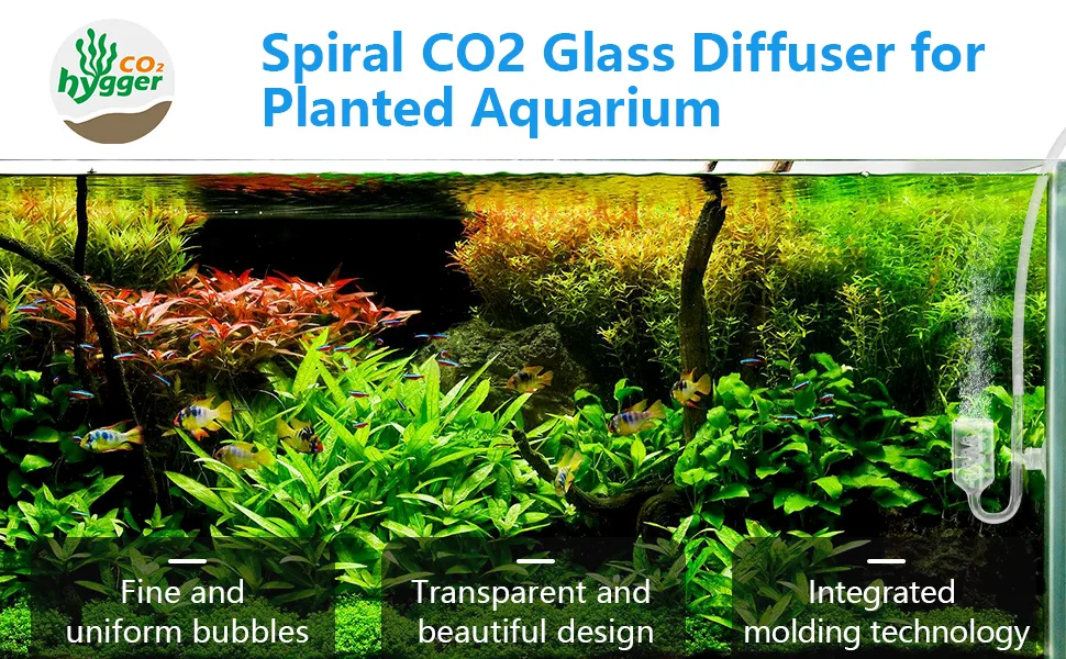 Spiral CO2 Glass Diffuser for Planted Aquarium with fine bubbles, transparent design, and integrated molding technology