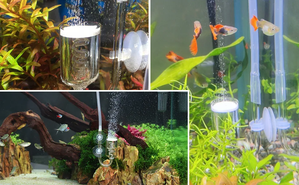 Hygger aquarium with air stones, plants, and fish in a well-maintained tank setup