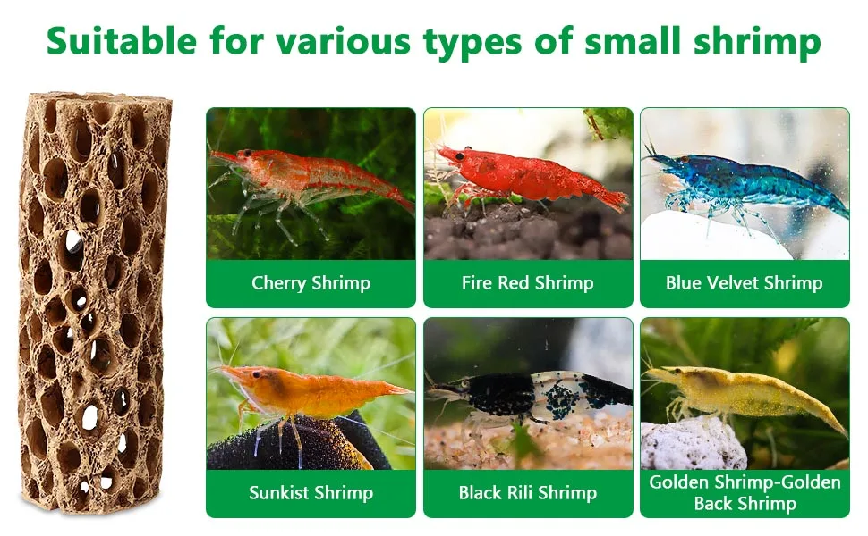 Hygger aquarium sponge for Cherry Shrimp, Fire Red Shrimp, Blue Velvet Shrimp, Sunkist Shrimp, Black Rili Shrimp, and Golden