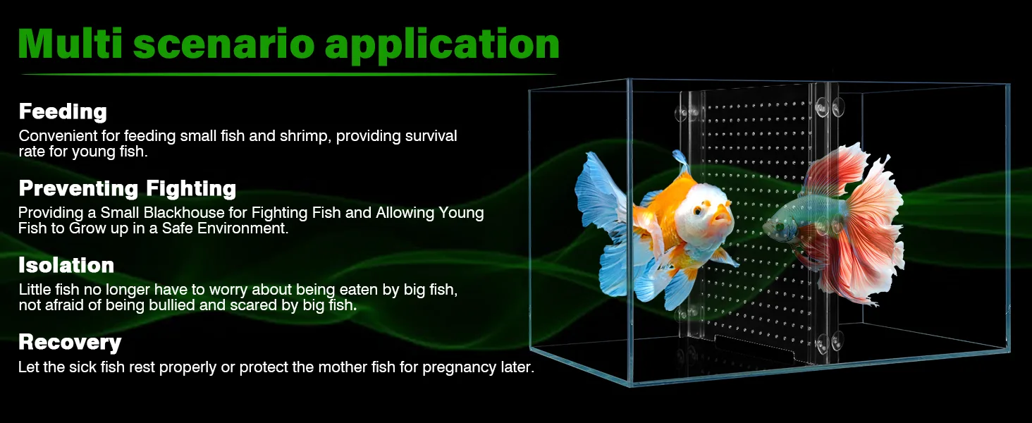 Hygger aquarium product for multi-scenario fish care: feeding, fighting prevention, isolation, and recovery in a clear tank w