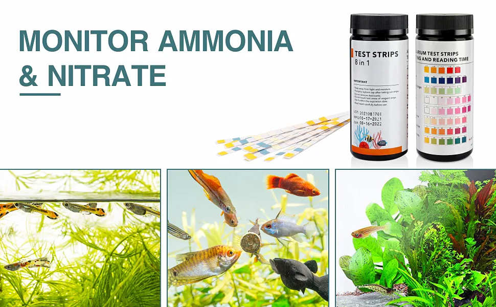 Hygger aquarium test strips for ammonia and nitrate monitoring with fish tank examples