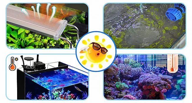 Hygger aquarium setup with heating, filtration, and temperature control for healthy marine life