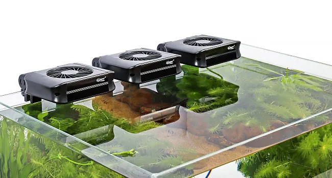 Hygger aquarium with three black air pumps on top, clear water, lush green plants, and a natural underwater landscape.
