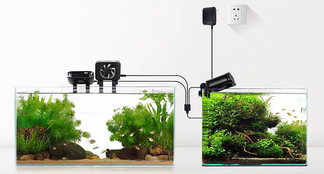 Hygger aquarium setup with two tanks, aquatic plants, fish, and connected equipment for optimal water circulation and filtrat