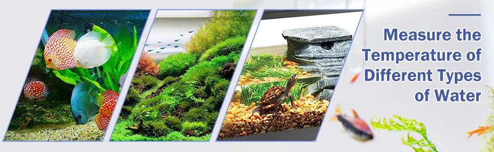 Hygger aquarium showcasing vibrant fish, lush plants, and natural water features for temperature measurement