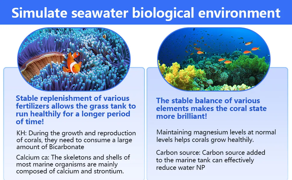 Simulate seawater biological environment with stable fertilizer replenishment and element balance for healthy coral growth in