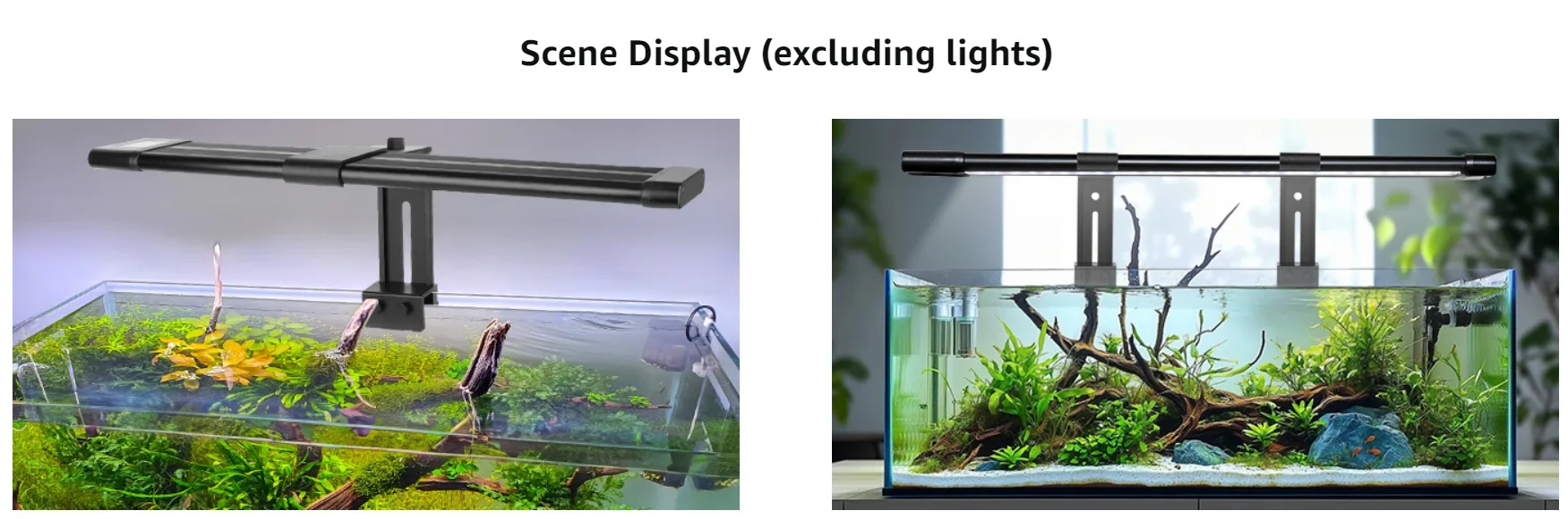 Hygger aquarium scene display with black frame and natural aquatic plants, showcasing two different setups for fish tanks.