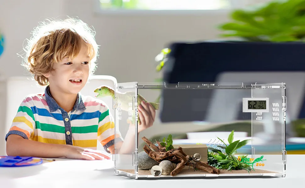 A child holding a green lizard near a transparent hygger aquarium terrarium with plants, rocks, and a digital thermometer sho