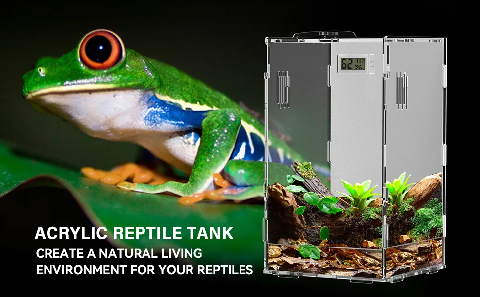 Acrylic reptile tank with red-eyed tree frog and natural habitat setup for pet reptiles