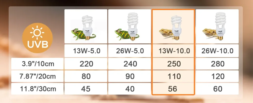 UVB light bulb comparison chart for bearded dragons showing 13W-10.0 and 26W-10.0 models with wattage and distance specificat