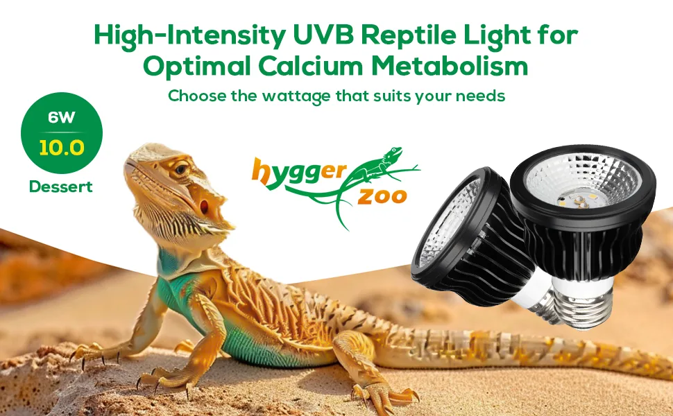 High-intensity UVB reptile light for optimal calcium metabolism, 6W and 10.0W options, hygger zoo brand, bearded dragon on sa
