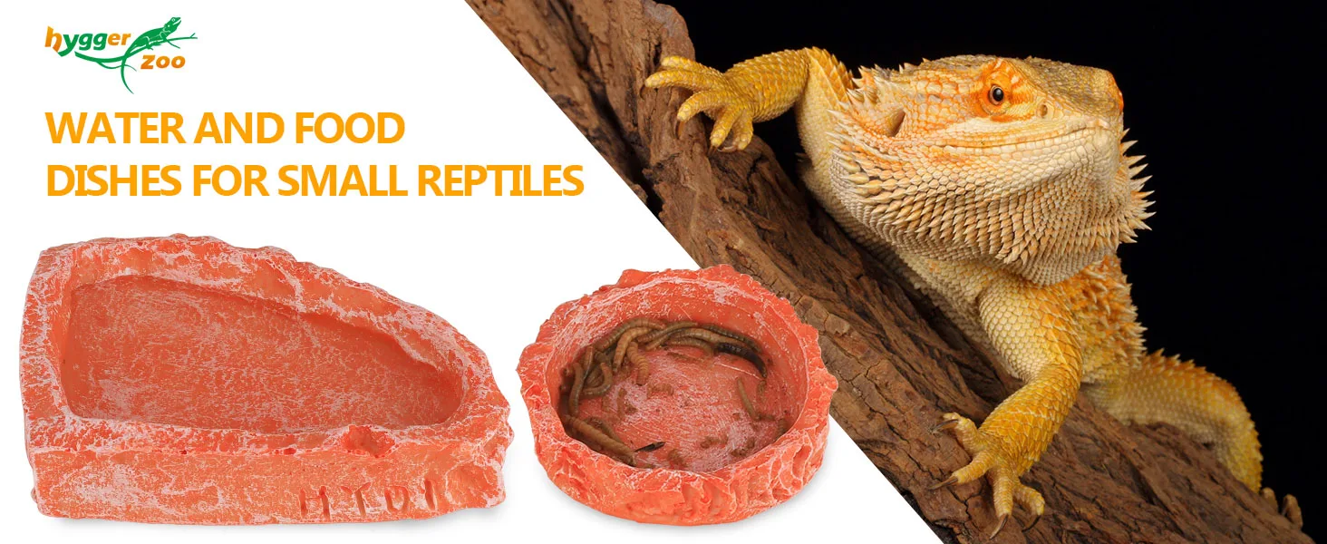 Hygger Zoo water and food dishes for small reptiles, featuring a bearded dragon on a branch with two red ceramic dishes.