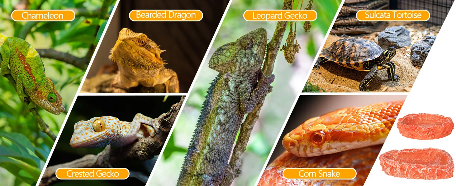 Hygger Aquarium features diverse reptiles: Chameleon, Bearded Dragon, Leopard Gecko, Sulcata Tortoise, Crested Gecko, and Cor