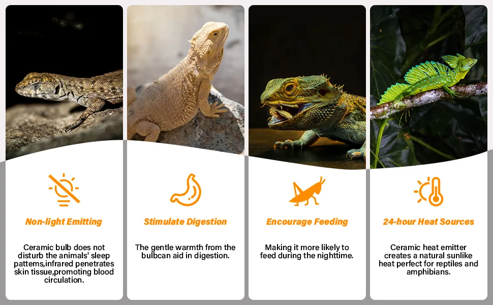 Four reptile images with icons: Non-light Emitting, Stimulate Digestion, Encourage Feeding, 24-hour Heat Sources. Ceramic bul