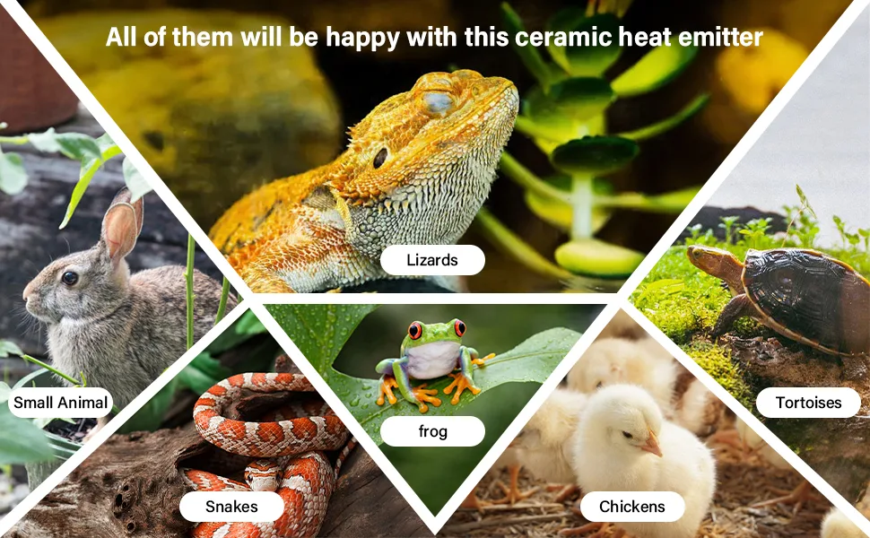 Ceramic heat emitter for lizards, snakes, frogs, tortoises, chickens, and small animals in terrariums