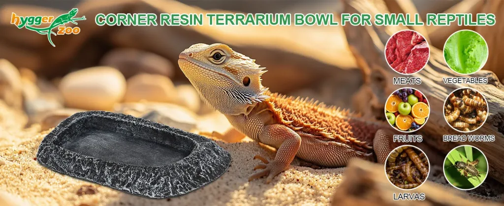 Hygger Zoo corner resin terrarium bowl for small reptiles with food options like meats, vegetables, fruits, bread worms, and