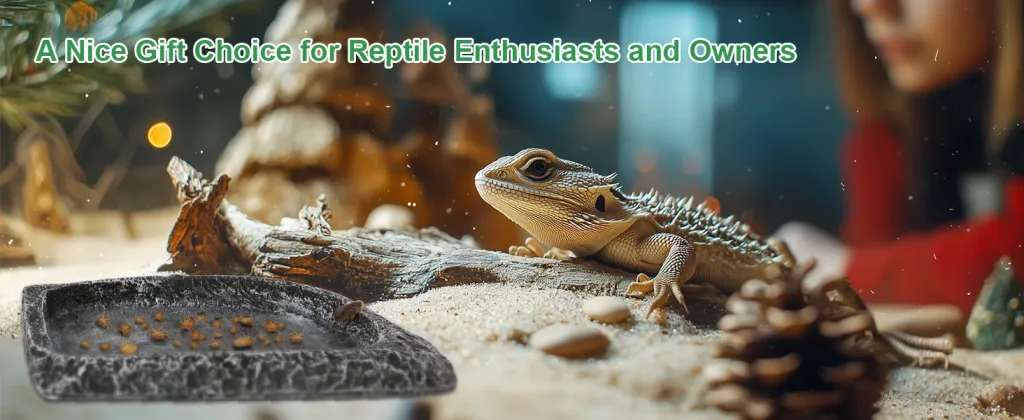 A bearded dragon on a log in a reptile enclosure with food dish and natural decor, ideal gift for reptile lovers
