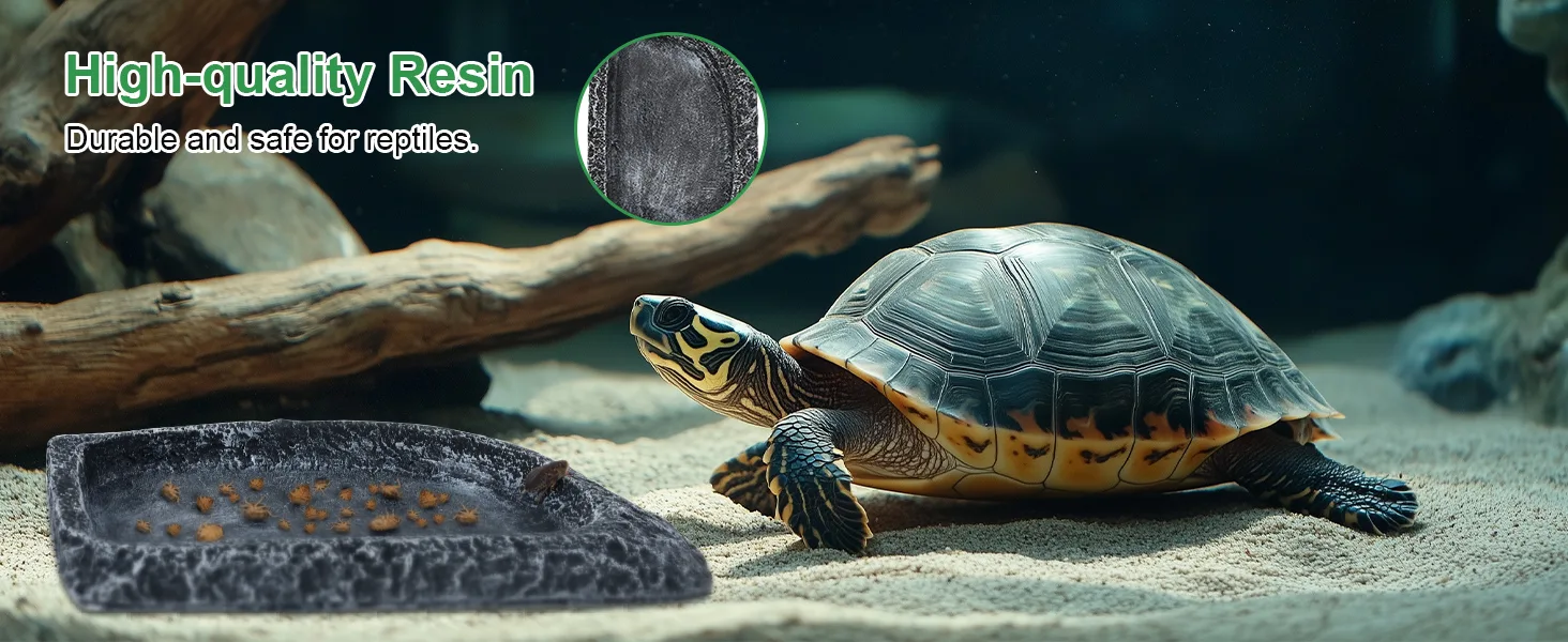 High-quality resin turtle feeding dish with durable surface, safe for reptiles in aquarium setup.