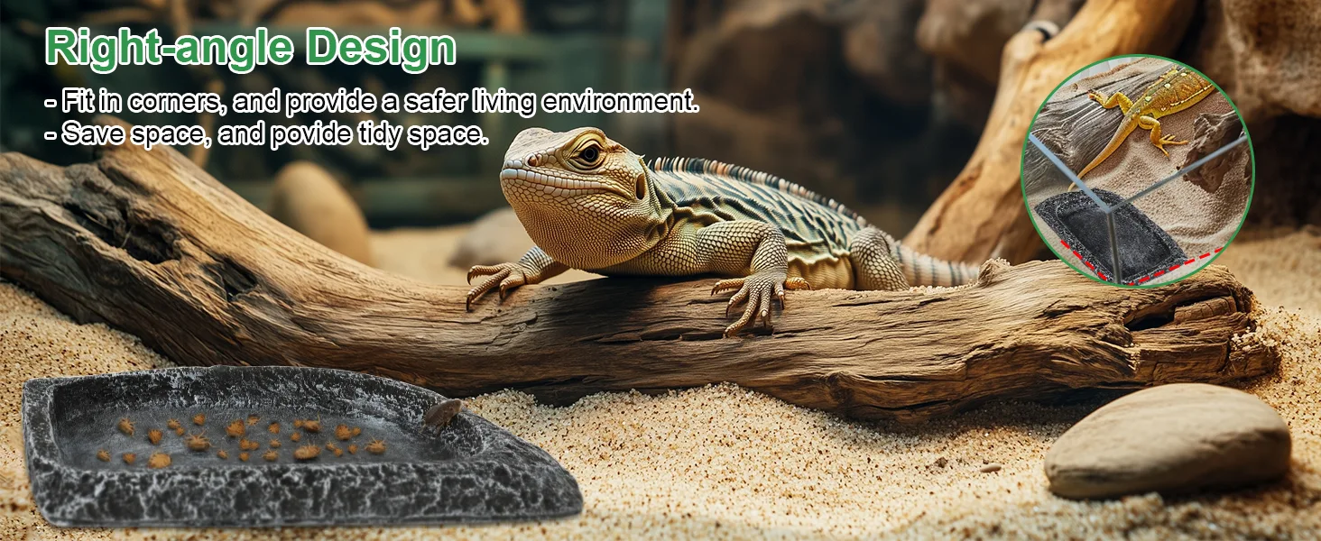 Right-angle iguana enclosure design with corner fit, space-saving features, and a lizard on a log in a sandy habitat.