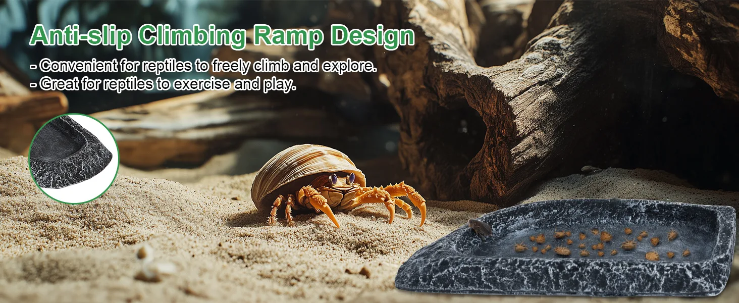 Anti-slip climbing ramp for reptiles with textured surface, shown with a crab in a terrarium.