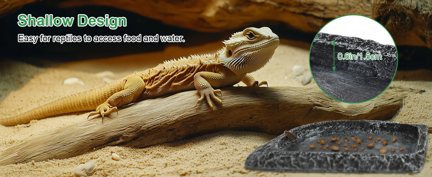Shallow reptile water dish with 0.6in depth, designed for easy access to food and water in bearded dragon enclosure.