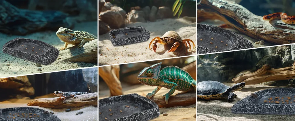 A collage of reptiles and amphibians in terrariums with water dishes, including bearded dragons, crabs, chameleons, and turtl
