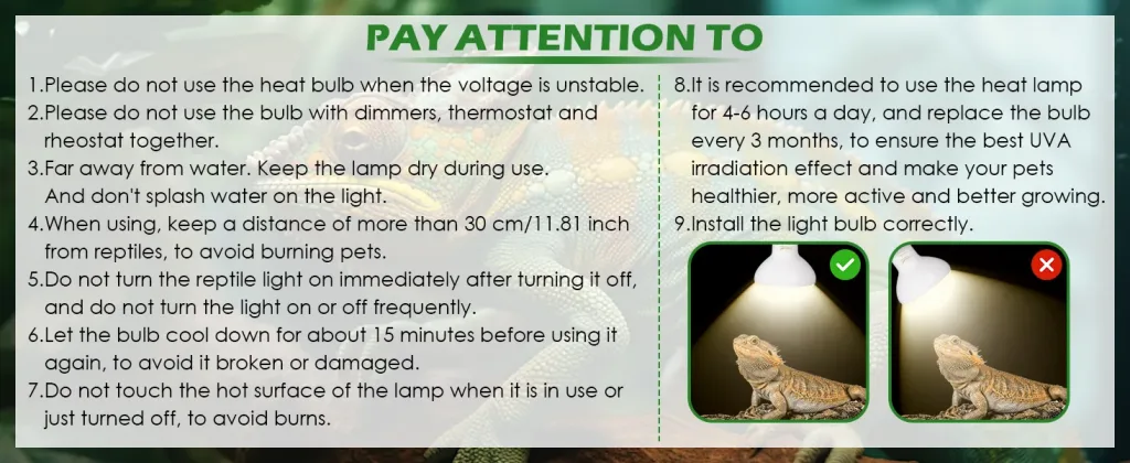 Reptile heat lamp safety guidelines: avoid unstable voltage, keep dry, maintain distance, and install correctly for pet healt