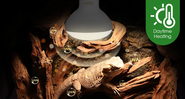 Hygger Daytime Heating Lamp for Bearded Dragons with UVA UVB Lighting in Terrarium Setup
