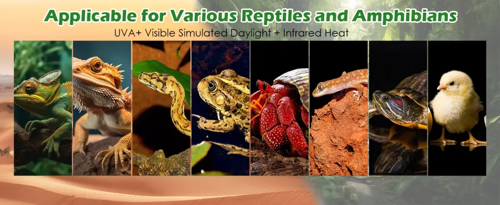 Hygger Aquarium: UVA+Visible Simulated Daylight+Infrared Heat for Reptiles & Amphibians