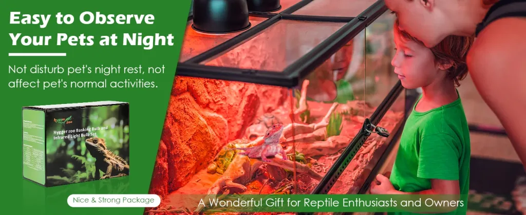 Hygger Zoo Basking Bulb Set for reptile terrariums, providing night observation without disturbing pets' rest.