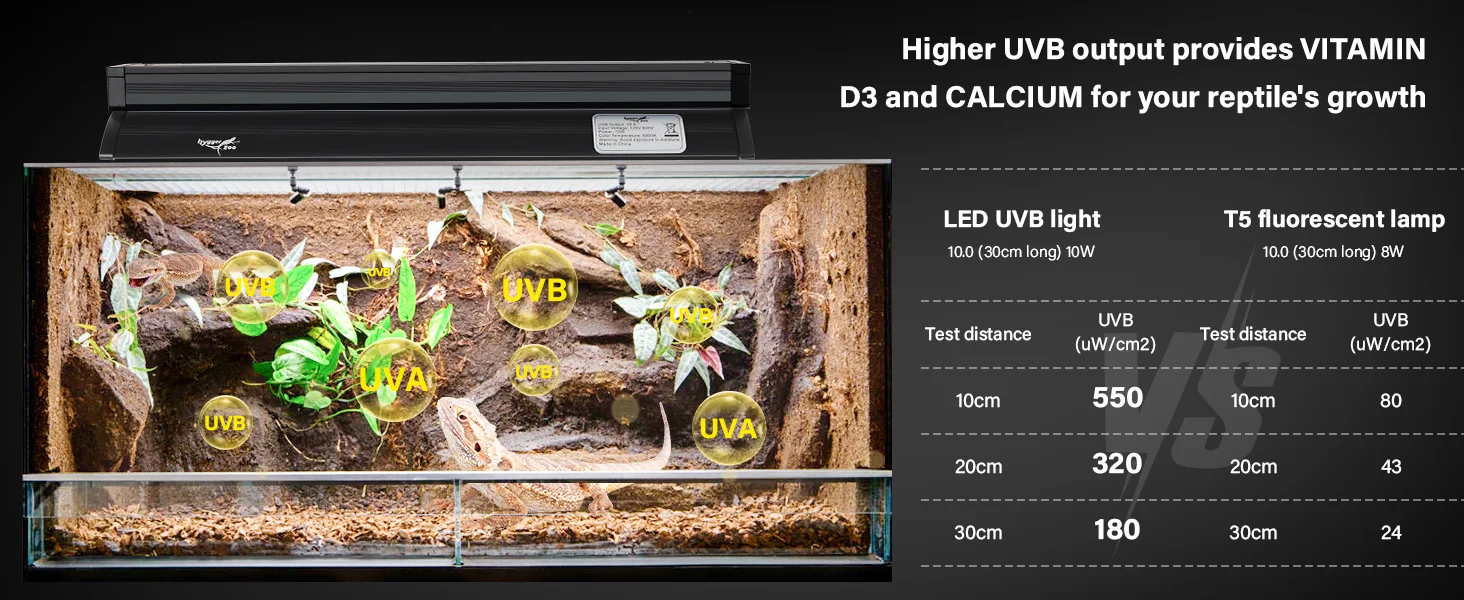 Hygger LED UVB light comparison chart showing higher UVB output for reptile growth vs T5 fluorescent lamp with test distances