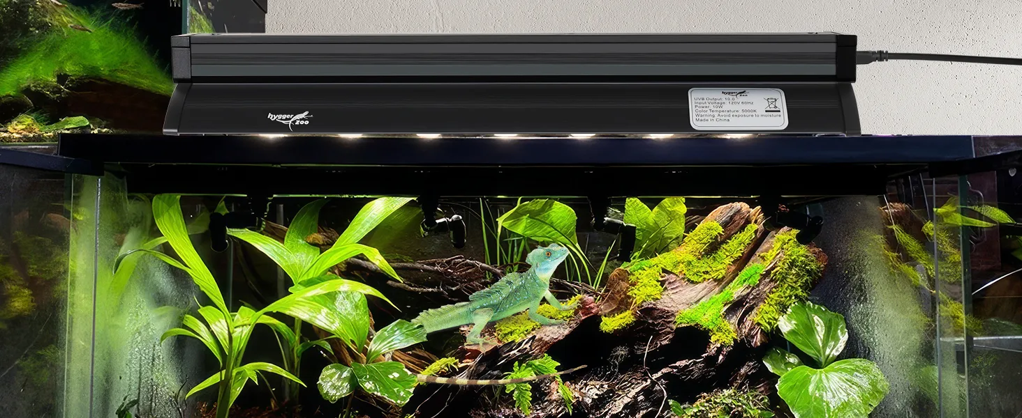 Hygger aquarium with lush green plants, moss-covered driftwood, and a blue tree frog inside a terrarium setup.