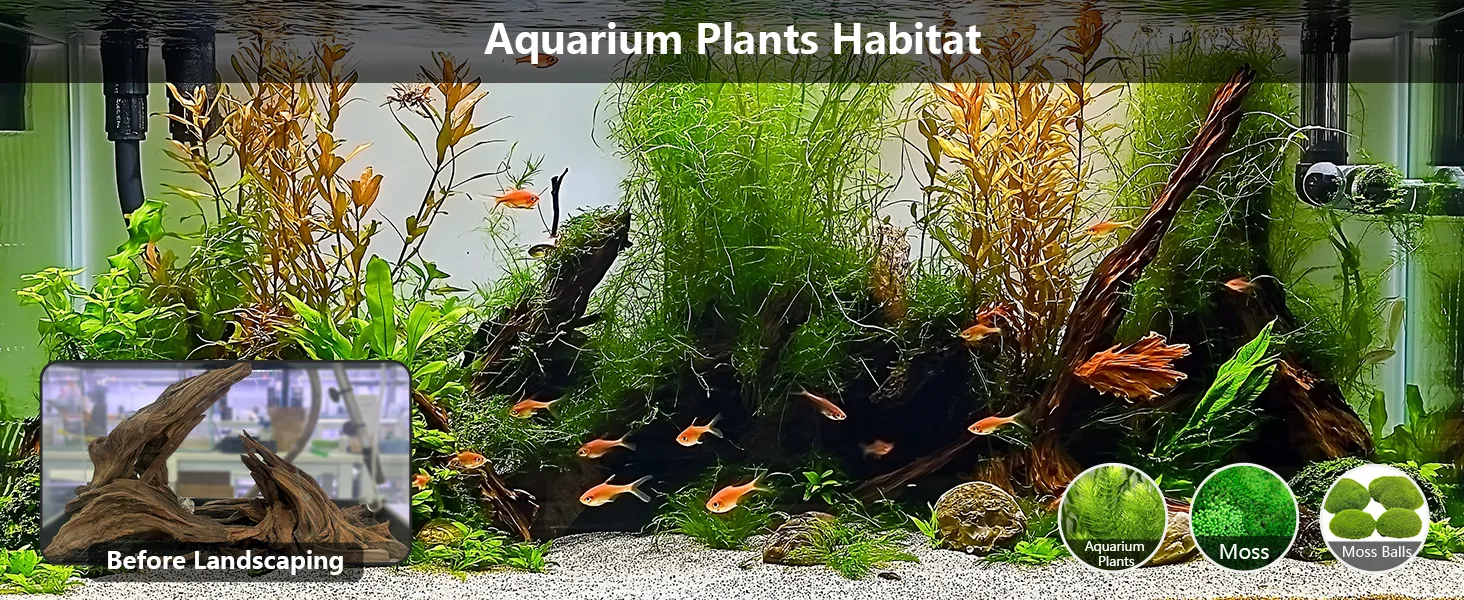 A vibrant aquarium with lush plants, driftwood, and goldfish, showcasing a thriving aquatic habitat before landscaping.