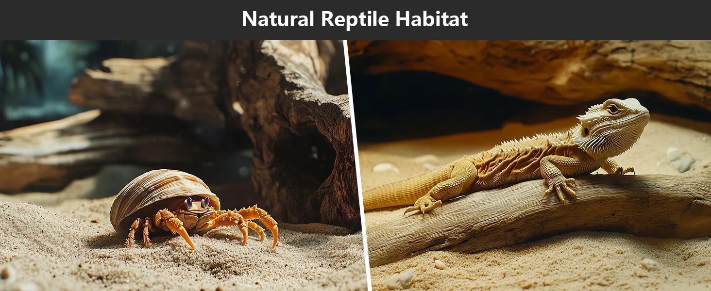 Natural reptile habitat with bearded dragon on log and crab in sandy enclosure