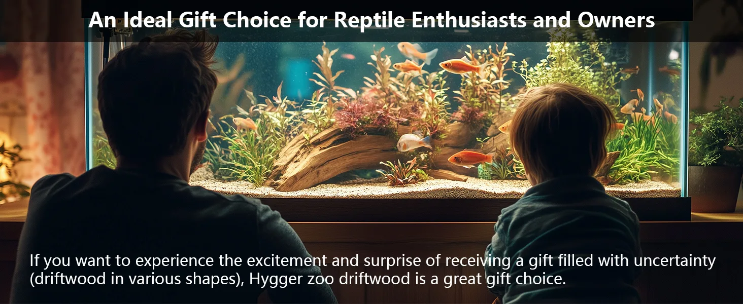 A man and child admire a vibrant aquarium with colorful fish and driftwood, promoting Hygger zoo driftwood as a gift for rept
