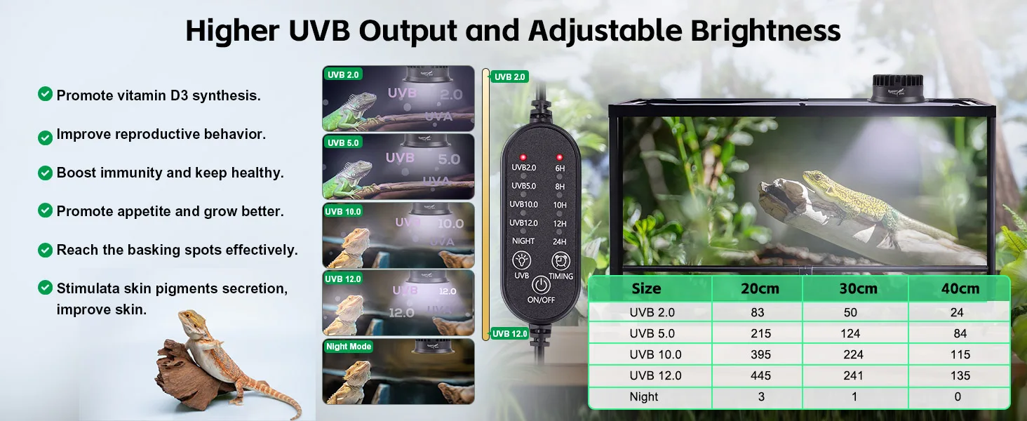 UVB 2.0-12.0 adjustable brightness reptile lamp with vitamin D3 synthesis and basking spot features for bearded dragons and l