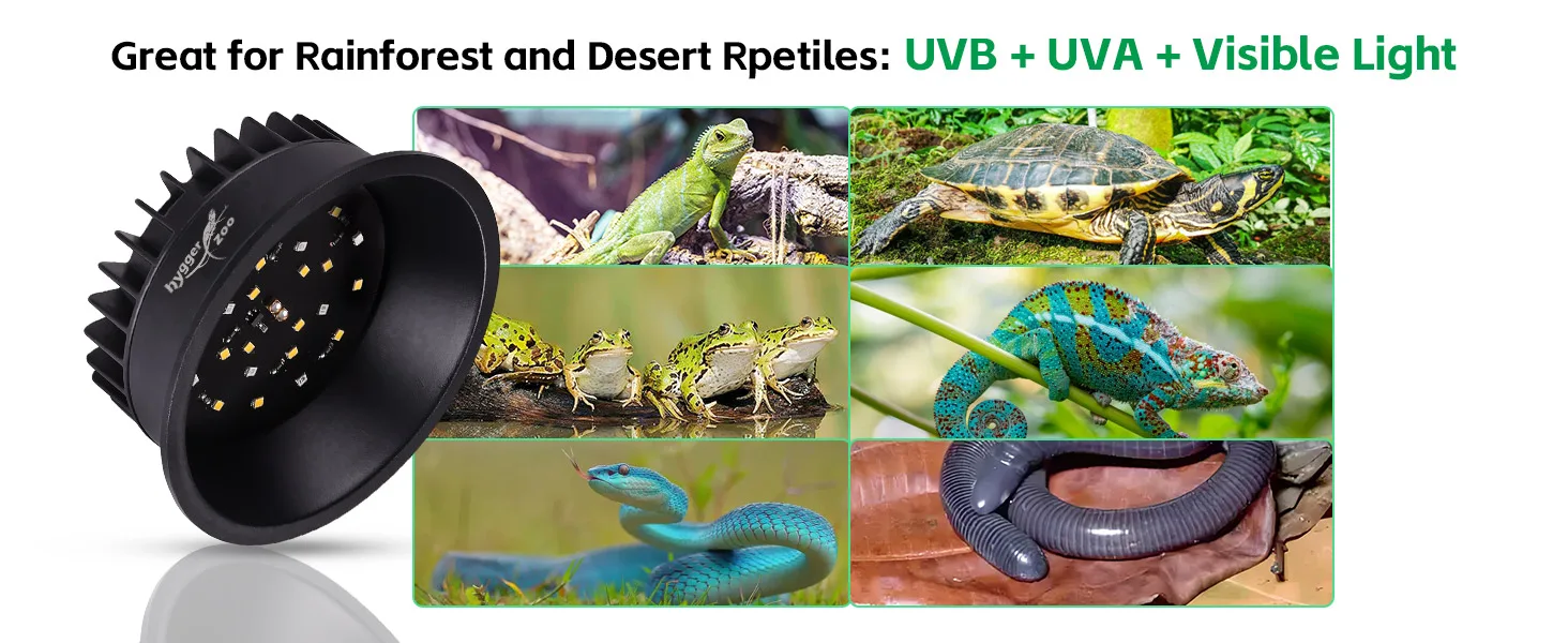 Hygger Zoo UVB + UVA + Visible Light Reptile Bulb for Rainforest and Desert Reptiles