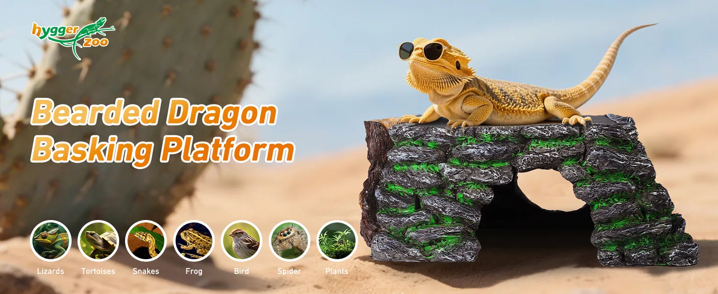 Bearded Dragon basking platform with rock design, featuring a bearded dragon on top, desert background, and icons for lizards